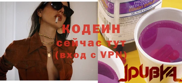 apvp Богородск