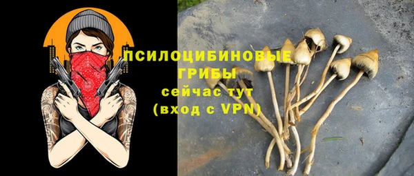 ALPHA-PVP Богданович