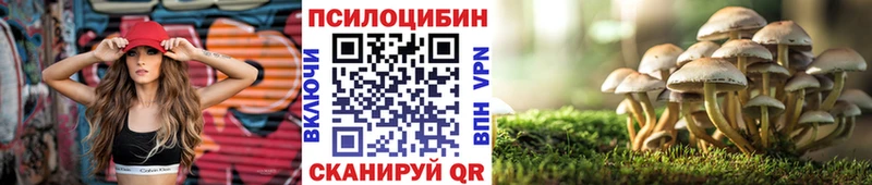сколько стоит  Бодайбо  Галлюциногенные грибы GOLDEN TEACHER 