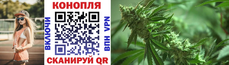 Бошки Шишки сатива  Бодайбо 